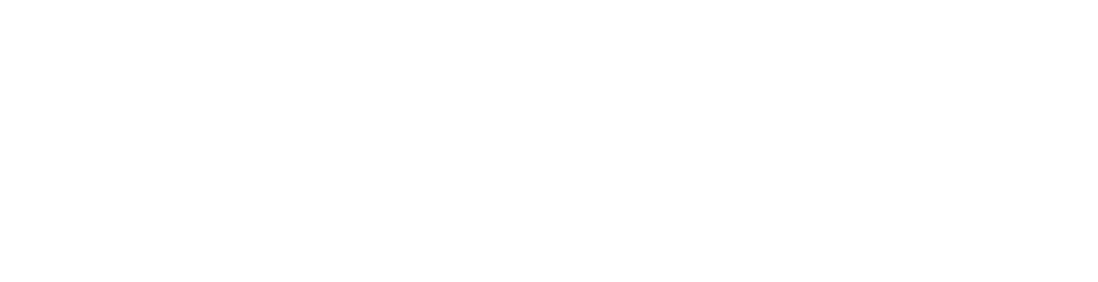 Repplix